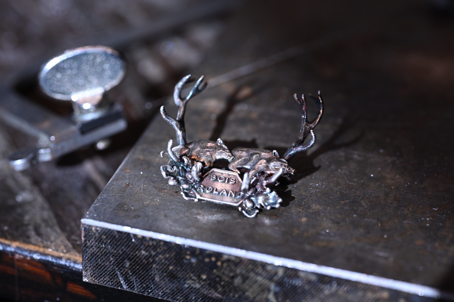 Bois Roland — détail de la médaille