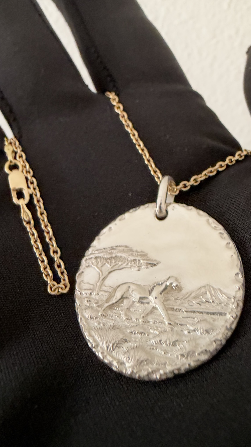 Photographie rapprochée du relief de la médaille Lioness